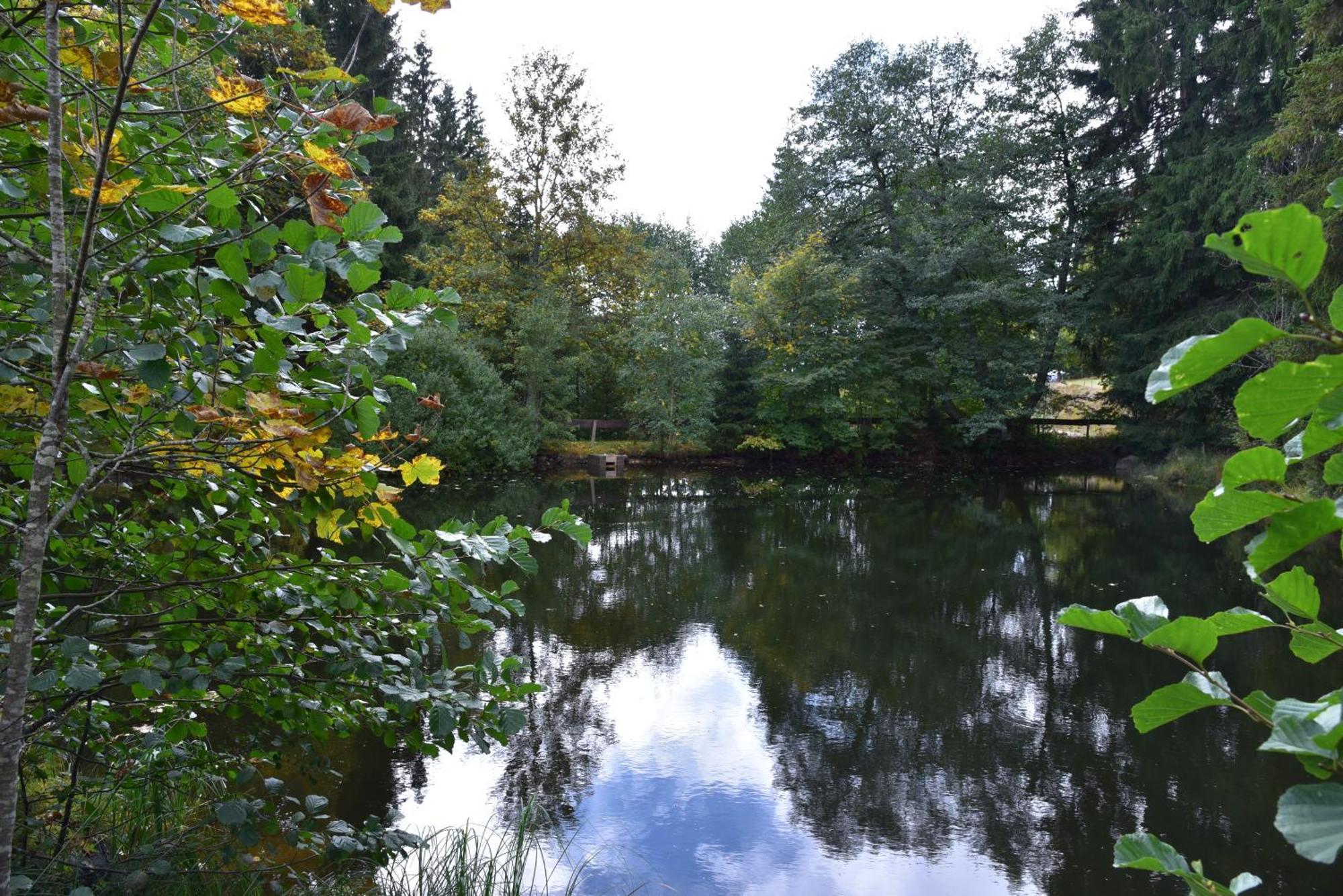 Apartment Eisenhauer In Schluchsee Eksteriør billede