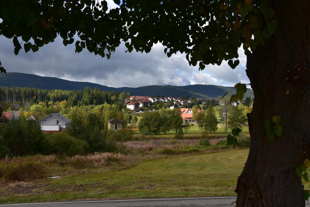 Apartment Eisenhauer In Schluchsee Eksteriør billede